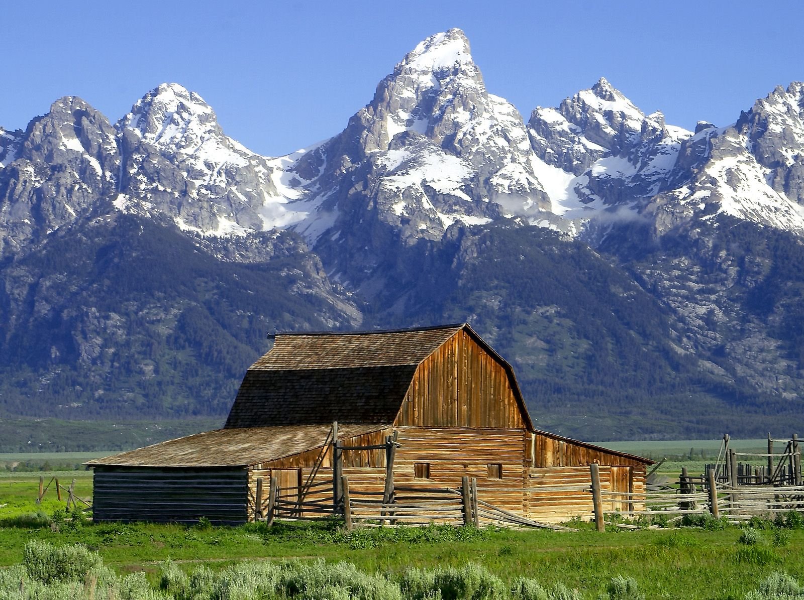 grand teton national park interpretive guidelines