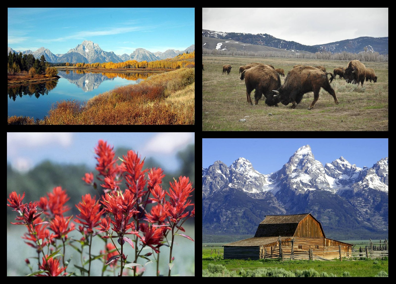 distance between jackson hole and grand teton national park