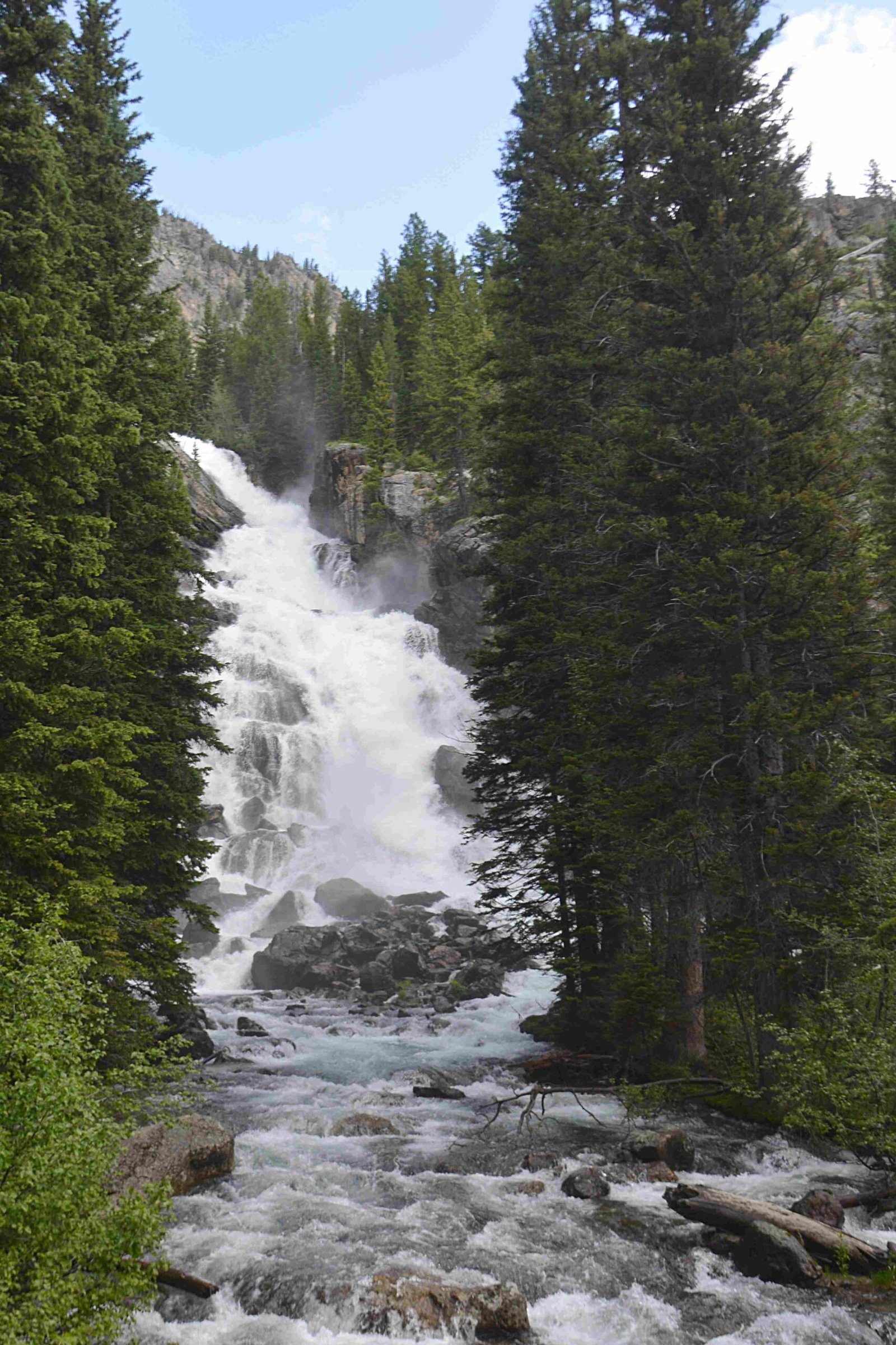 climate in grand teton national park during thanksgiving