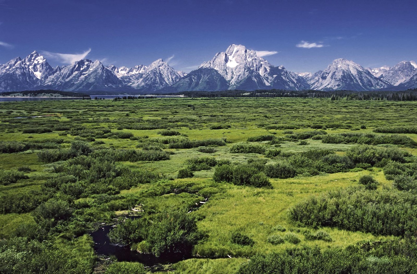 Grand Teton National Park 40